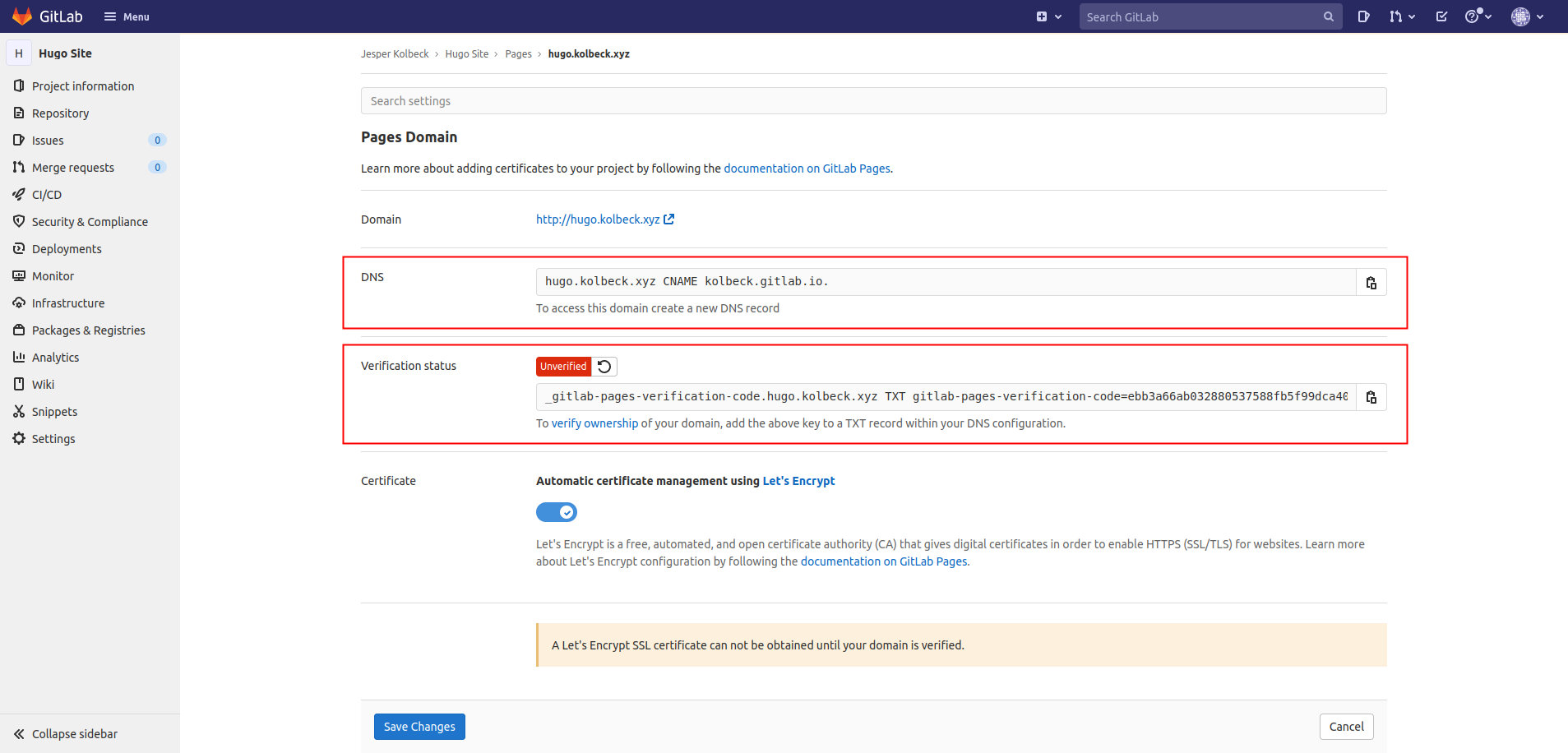 DNS details